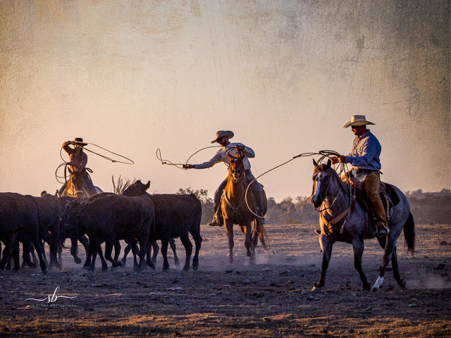"Dancing Ropes" - Diamond W Ranch