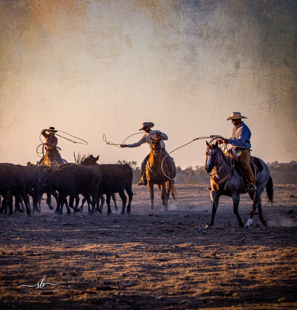 "Dancing Ropes" - Diamond W Ranch