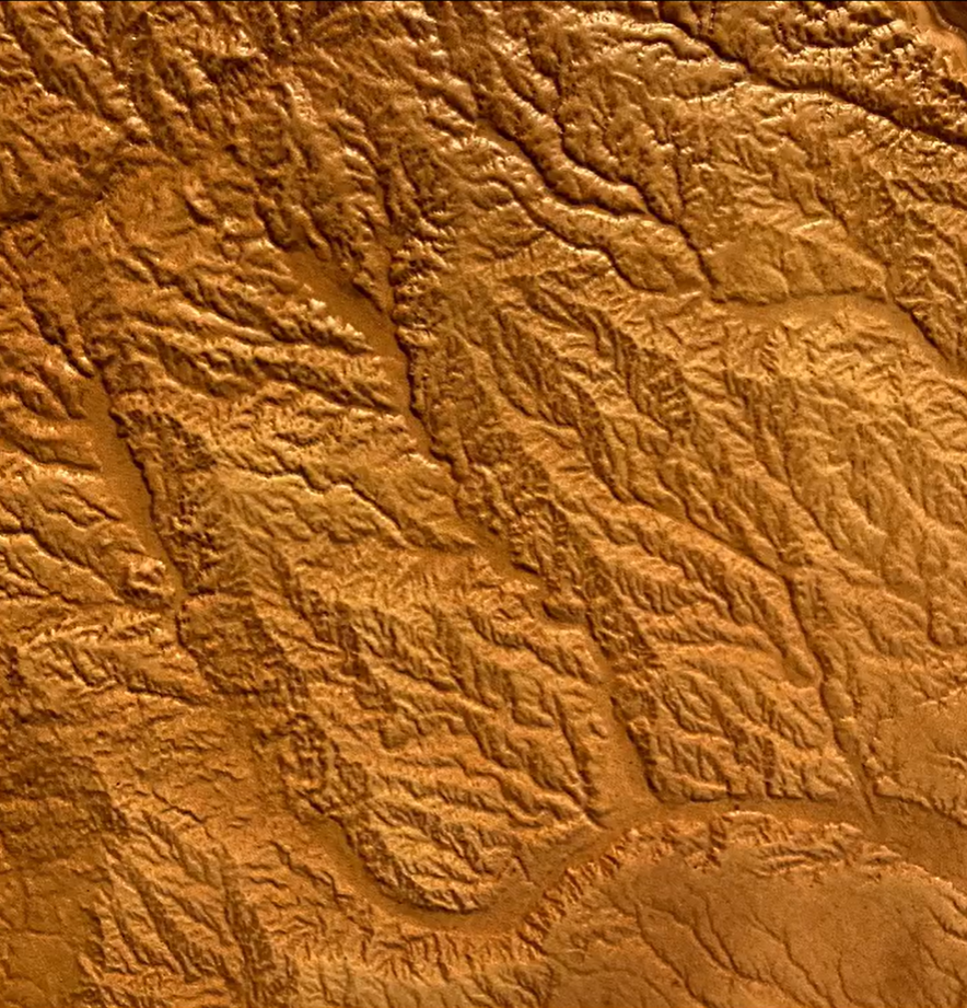 Georgia Leather Topographic Map - Diamond W Ranch