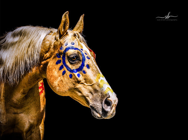 "Homage" - Diamond W Ranch