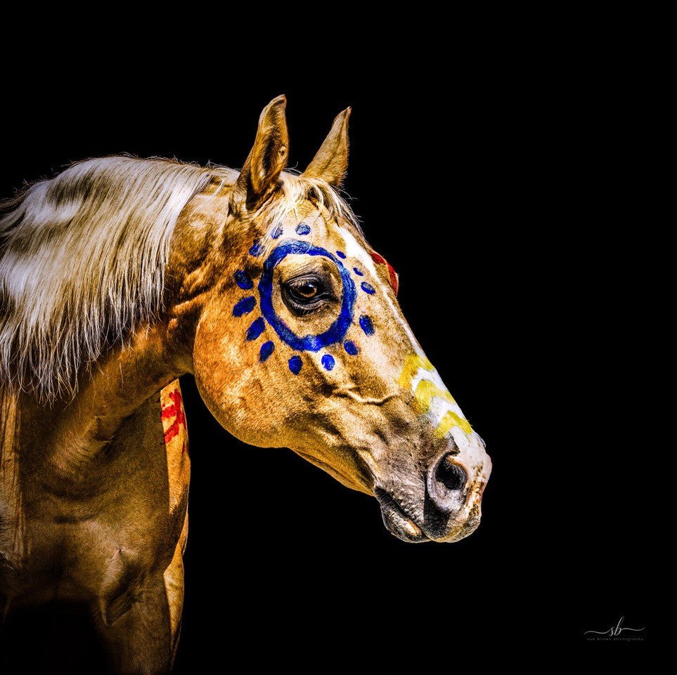 " Homage " - Diamond W Ranch