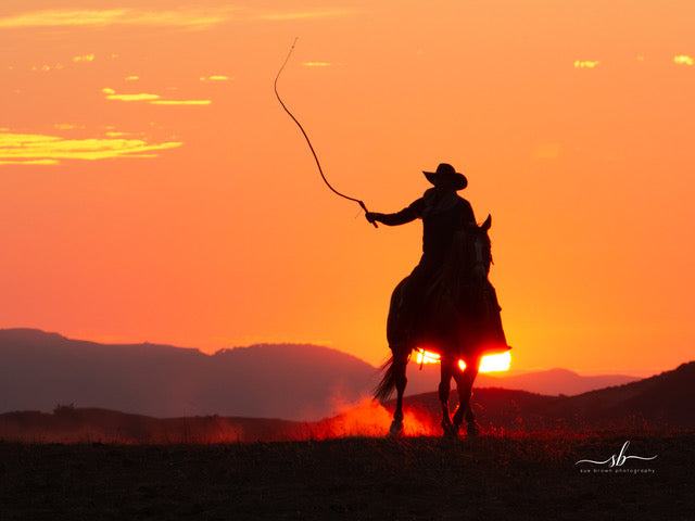 "Into the Sunset" - Diamond W Ranch