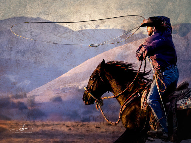 "Purple Haze" - Diamond W Ranch
