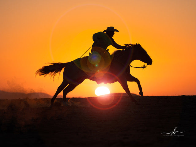"Racing the Sun" - Diamond W Ranch