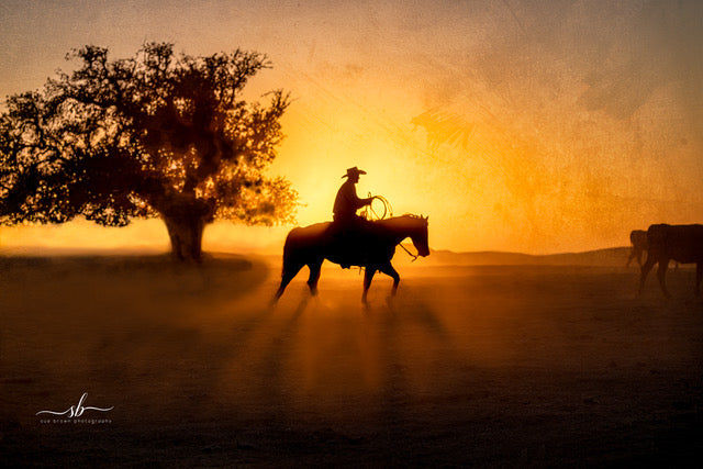 "Sunset Crossing" - Diamond W Ranch