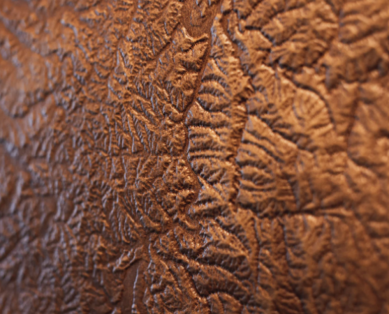 Tennessee Leather Topographic Map - Diamond W Ranch