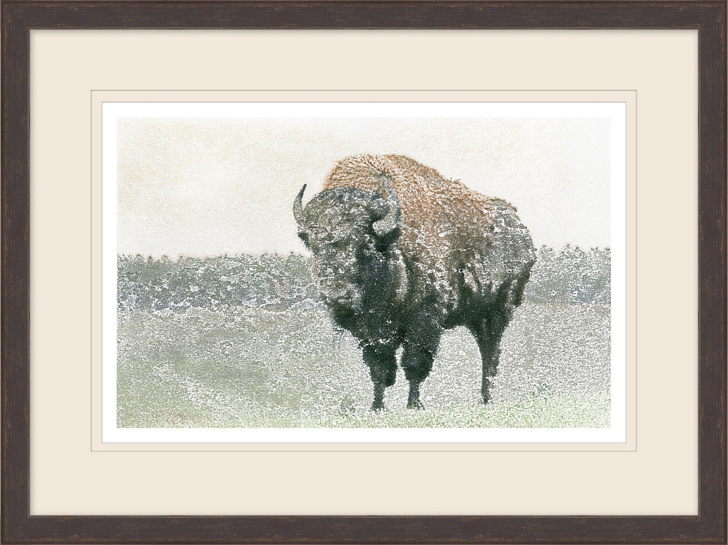 Grain Bison 1 - Diamond W Ranch