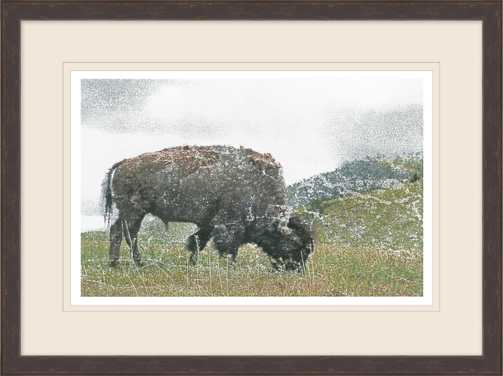 Grain Bison 2 - Diamond W Ranch