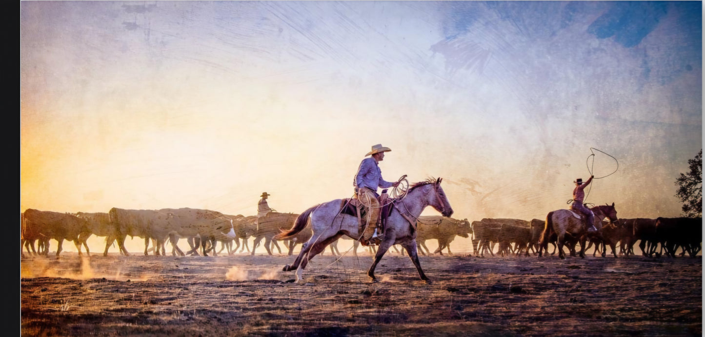 "Pushing the Herd"