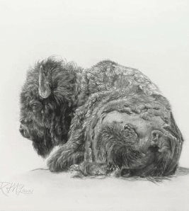 Holiday Gift Guide Day 3: Rebekah McLain - Silence rendered in Graphite & Pencil - Diamond W Ranch