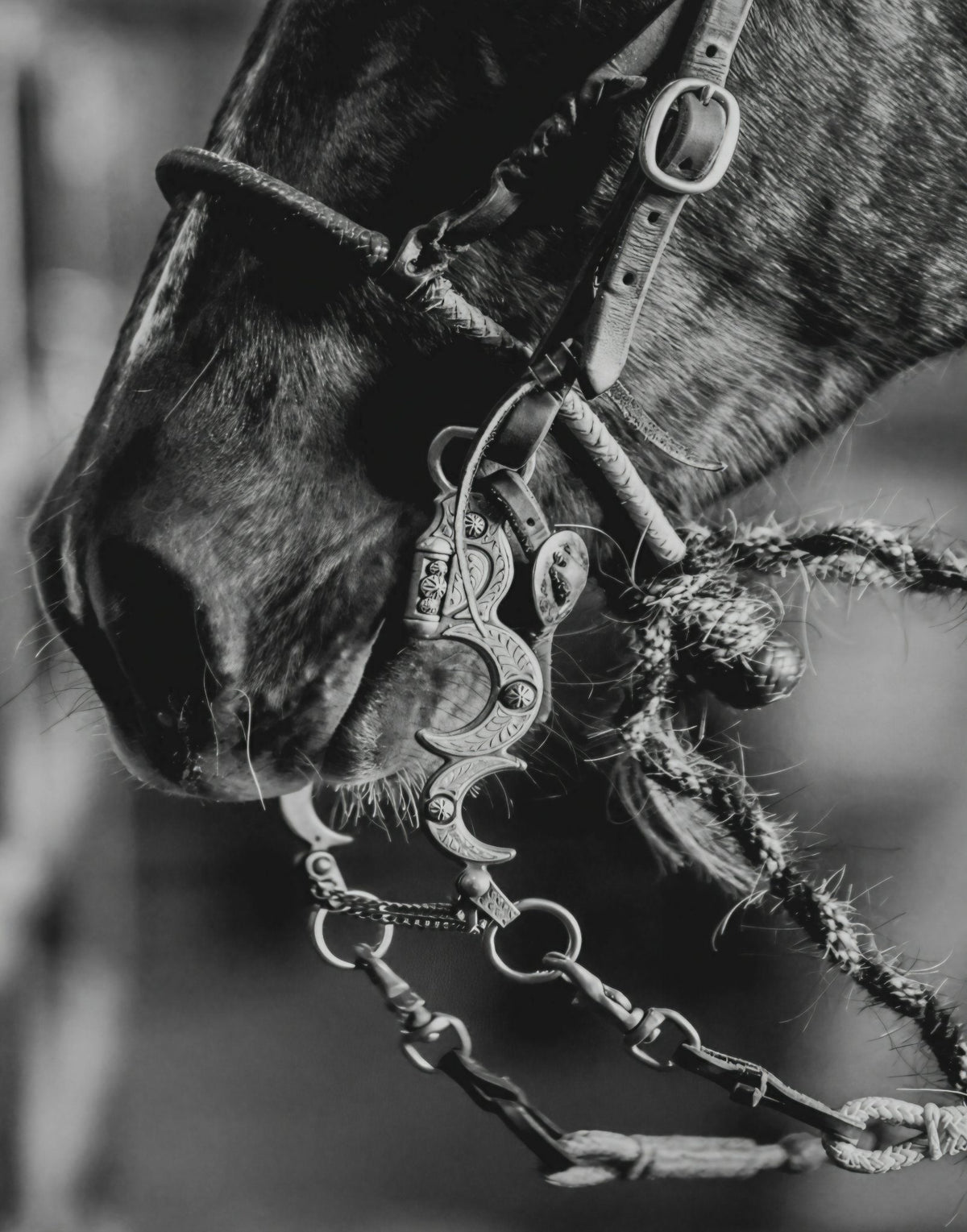 Ready to Work by Rachael Watts Photography