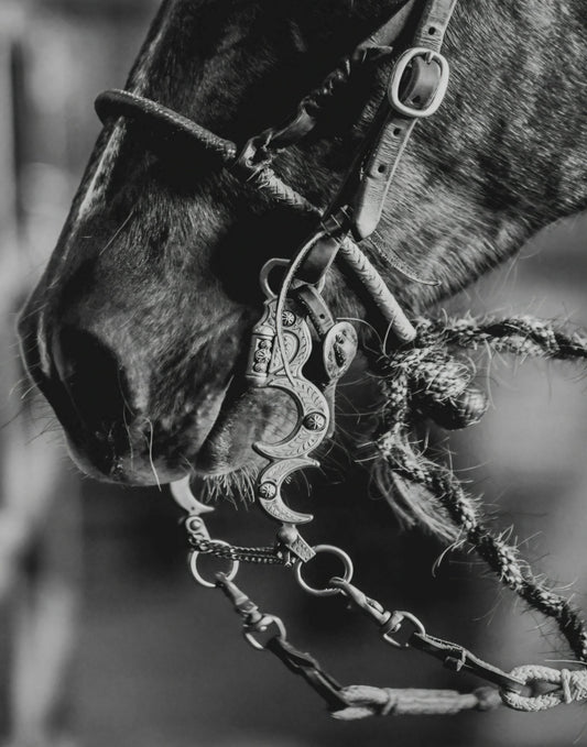 Ready to Work by Rachael Watts Photography