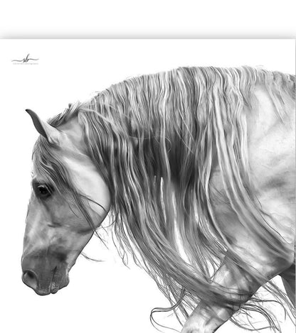 "The Breath Between Breezes" - Diamond W Ranch