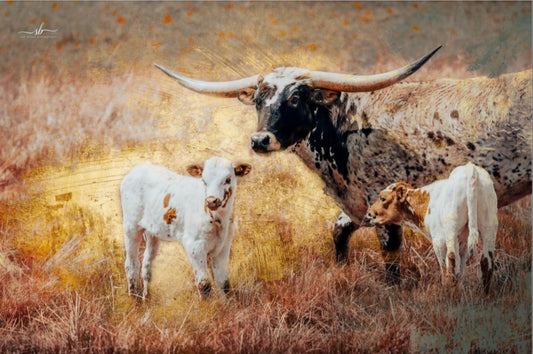 "Painted Prairie"